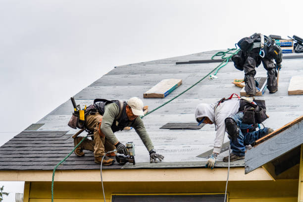 Professional Gutter Installation technician working in Inglis, FL